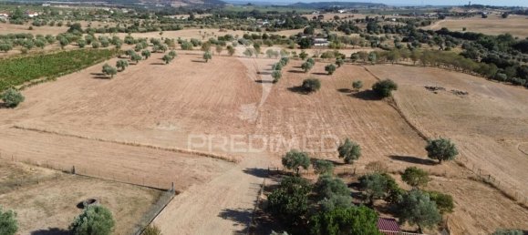 4 bedrooms House in Santarem, Portugal No. 289789 20