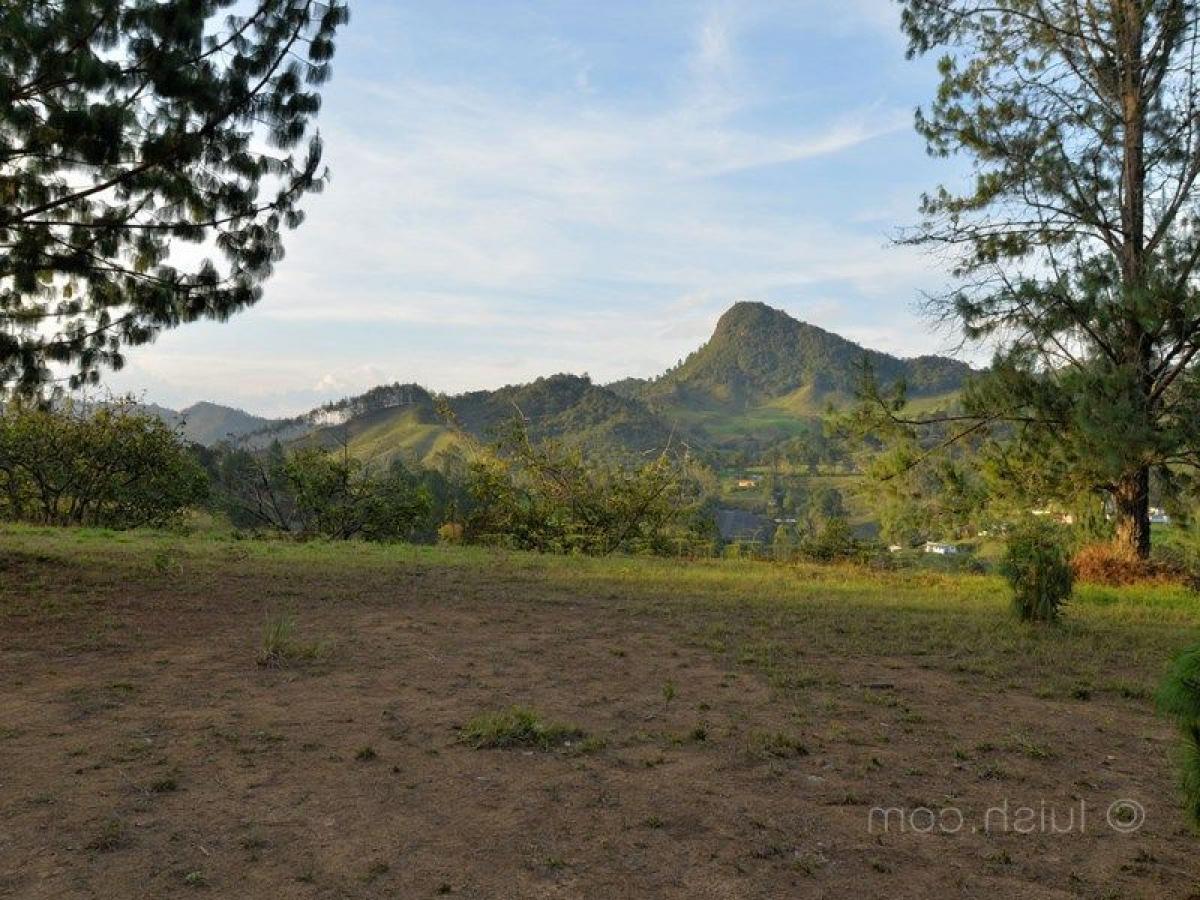 Земельный участок в Антьокия, Колумбия № 543