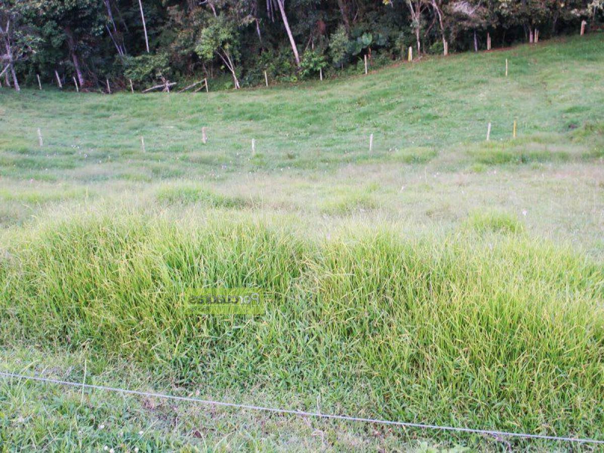  Land in Antioquia, Colombia No. 702