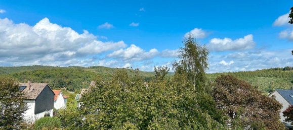 10 rooms House in Siegen-Wittgenstein, Germany No. 301692 7