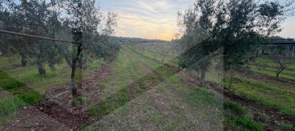 1غرفة قطعة أرض في Conversano, Italy رقم 29095 13