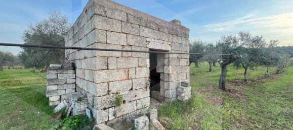 1غرفة قطعة أرض في Conversano, Italy رقم 29095 3