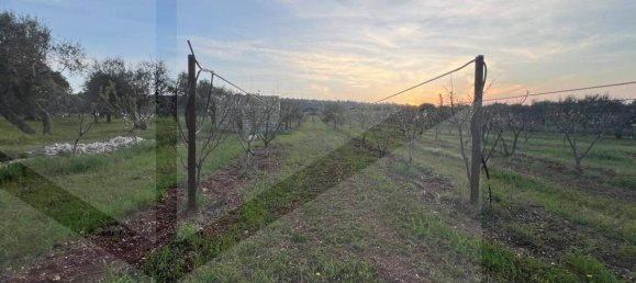 1غرفة قطعة أرض في Conversano, Italy رقم 29095 9