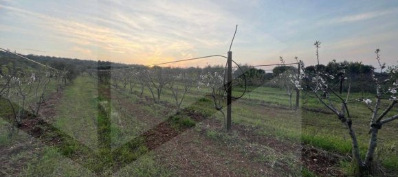 1غرفة قطعة أرض في Conversano, Italy رقم 29095 12