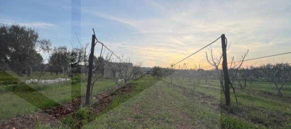 1غرفة قطعة أرض في Conversano, Italy رقم 29095 11