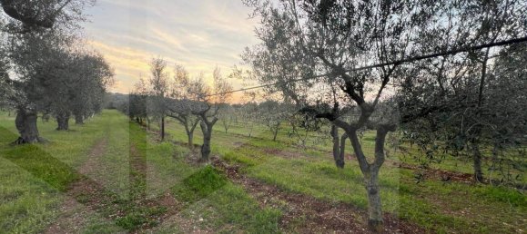 1غرفة قطعة أرض في Conversano, Italy رقم 29095 5