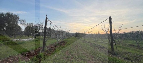 1غرفة قطعة أرض في Conversano, Italy رقم 29095 10