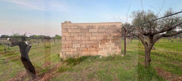 1غرفة قطعة أرض في Conversano, Italy رقم 29095 6