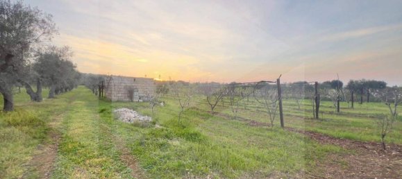 1غرفة قطعة أرض في Conversano, Italy رقم 29095 8