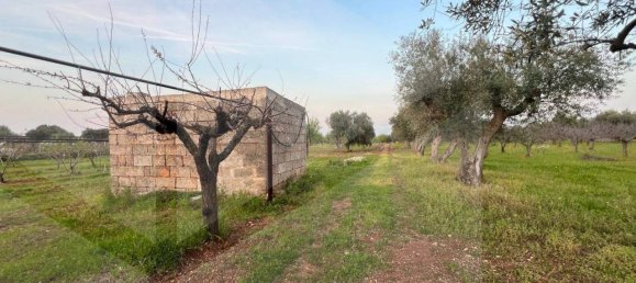 1غرفة قطعة أرض في Conversano, Italy رقم 29095 7