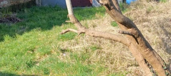 3 rooms House in Berck, France No. 260112 10