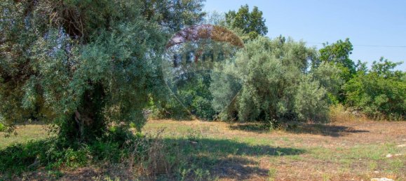 Terreno en Noto, Italy 16000 m² No. 346113 21
