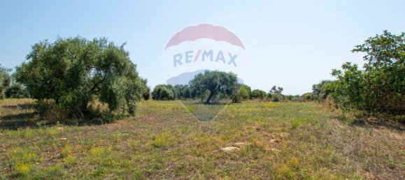Terreno en Noto, Italy 16000 m² No. 346113 15