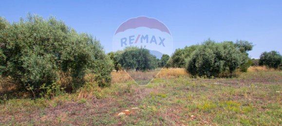Terreno en Noto, Italy 16000 m² No. 346113 17