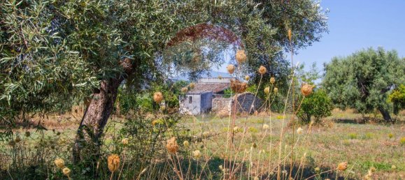 Terreno en Noto, Italy 16000 m² No. 346113 27