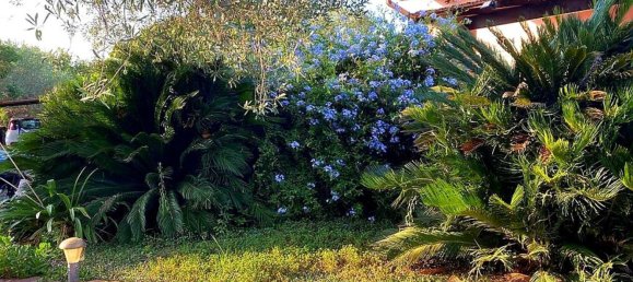 Villa de 5 habitaciónes en Alghero, Italy No. 172954 6