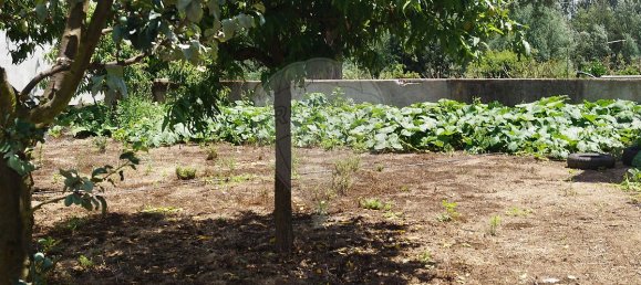  Land in Santa Comba Dao, Portugal No. 30835 5