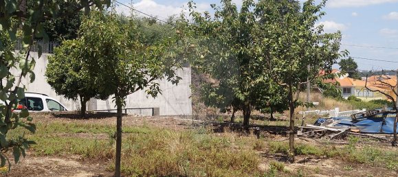  Land in Santa Comba Dao, Portugal No. 30835 7