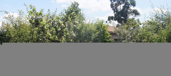  Land in Santa Comba Dao, Portugal No. 30835 10