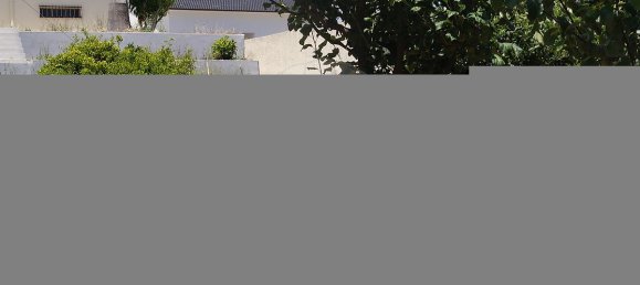  Land in Santa Comba Dao, Portugal No. 30835 6