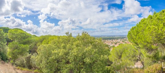 Дом с 14 спальнями в Палмела, Португалия № 136407 2