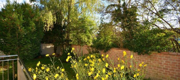 7 rooms Villa in Deutsch-Wagram, Austria No. 50534 30