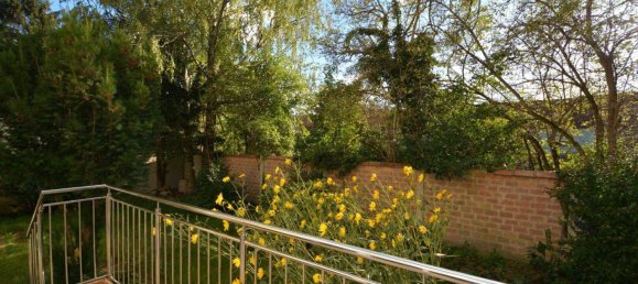 7 rooms Villa in Deutsch-Wagram, Austria No. 50534 4