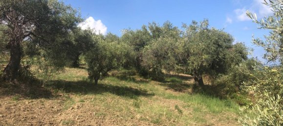 Terreno em Spadafora, Italy N.º 372497 3