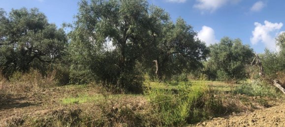 Terreno em Spadafora, Italy N.º 372497 4