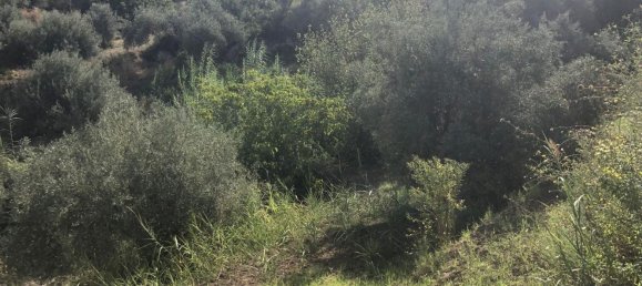 Terreno em Spadafora, Italy N.º 372497 2