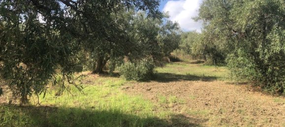 Terreno em Spadafora, Italy N.º 372497 6