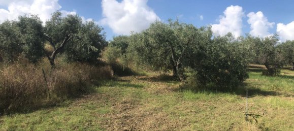 Terreno em Spadafora, Italy N.º 372497 7