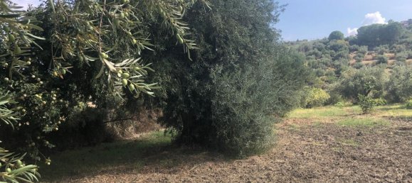 Terreno em Spadafora, Italy N.º 372497 12