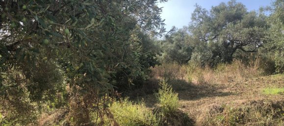 Terreno em Spadafora, Italy N.º 372497 5