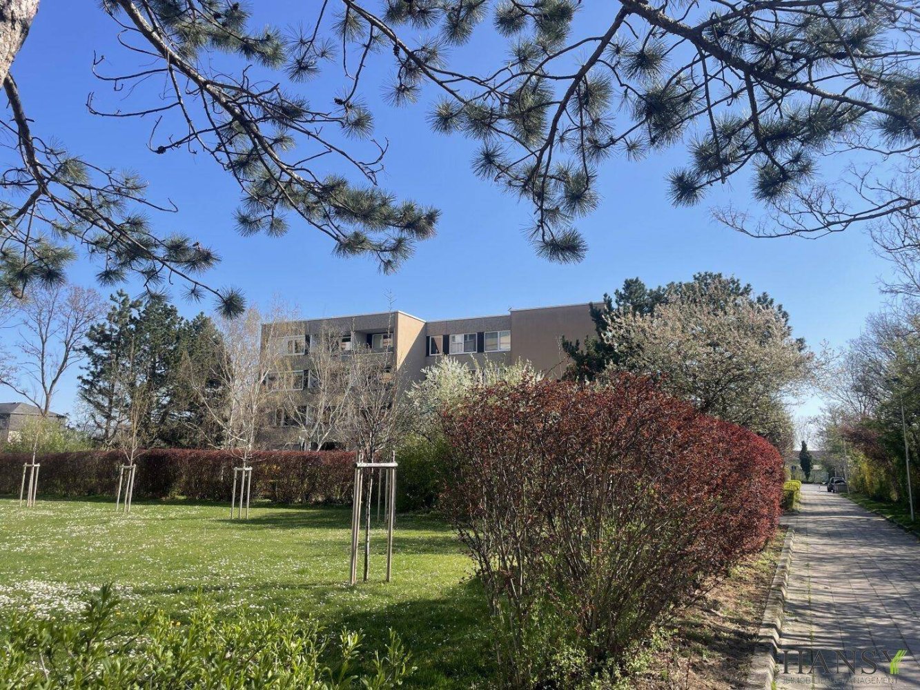 Квартира с 4 комнатами в Баден, Австрия № 229729