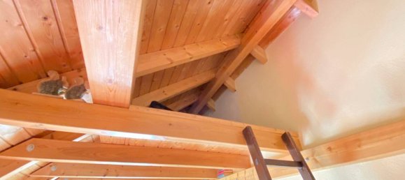 Дом с 3 спальнями в Цвиккау, Германия № 230809 11