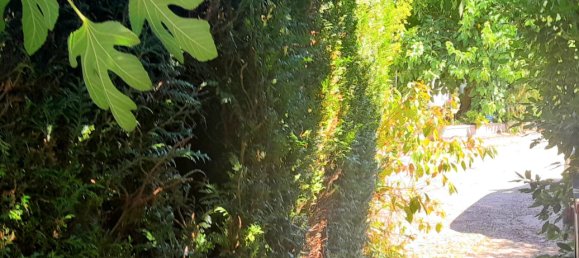 3 Schlafzimmer Haus in Yonne, France, Nr. 281823 11