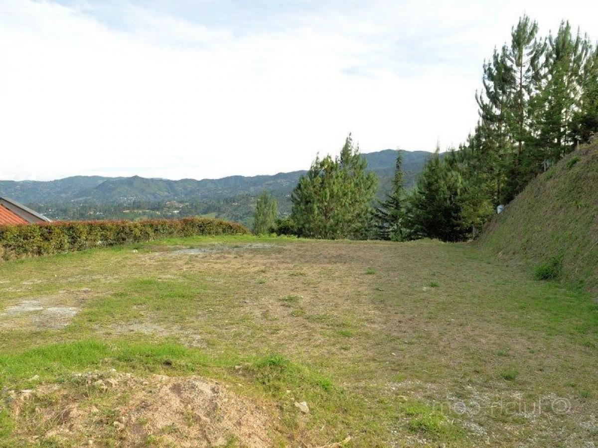  Land in Antioquia, Colombia No. 803