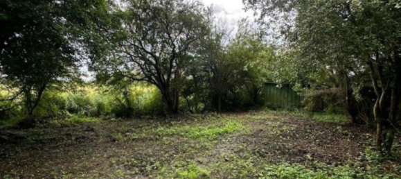 9-Zimmer Haus in Nordfriesland, Germany, Nr. 268953 7