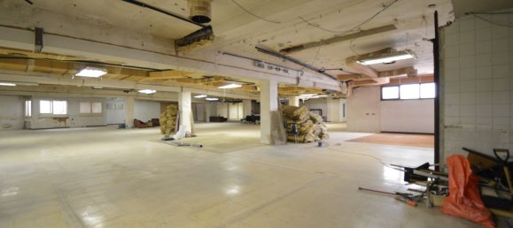 Коммерческая недвижимость 1656м² в Барселона, Испания № 112486 7