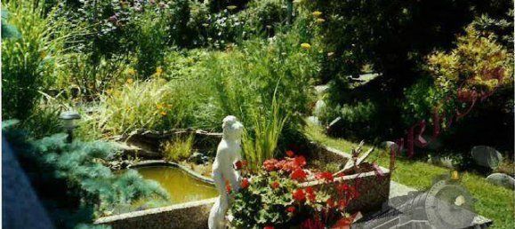 6 rooms House in Ebreichsdorf, Austria No. 147304 10