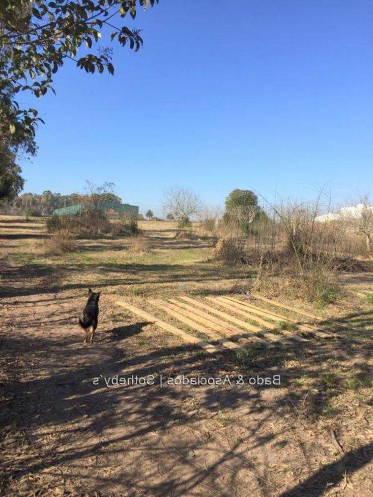  Land in Canelones, Uruguay No. 15976