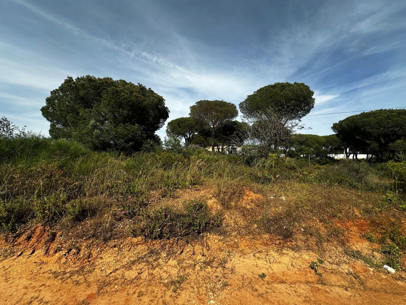 Terrain à Quarteira, Portugal 750m² No. 45443