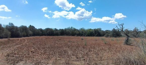 4 bedrooms Villa in Felanitx, Spain No. 14087 10