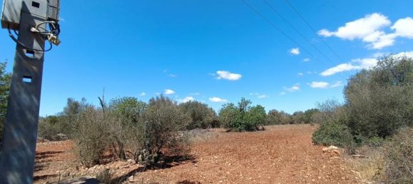 4 bedrooms Villa in Felanitx, Spain No. 14087 7