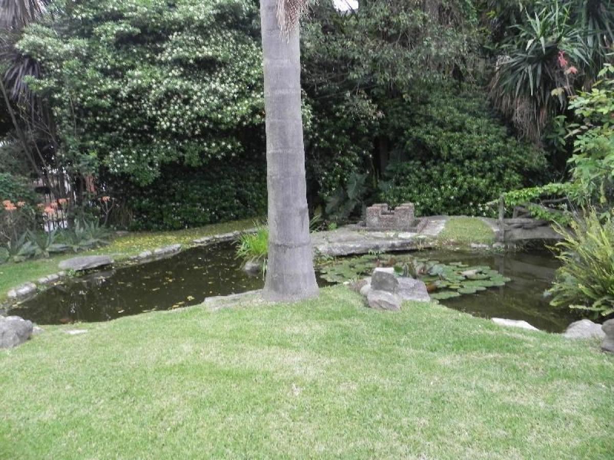  Land in San Isidro, Argentina No. 43583