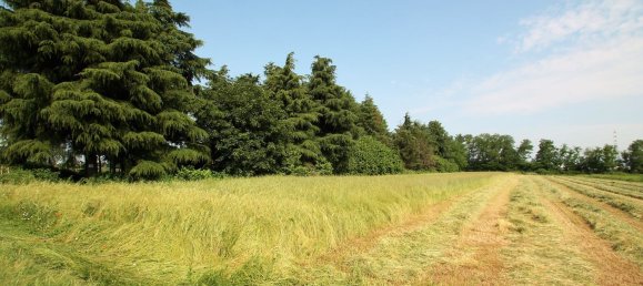 Terrain à Cambiago, Italy 4000m² No. 84878 3