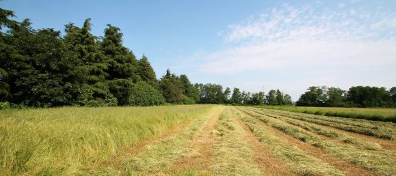 Terrain à Cambiago, Italy 4000m² No. 84878 4