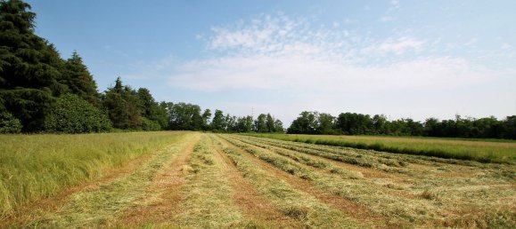 Terrain à Cambiago, Italy 4000m² No. 84878 5