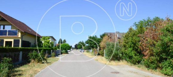 Terrain à Deutsch-Wagram, Austria No. 147611 8